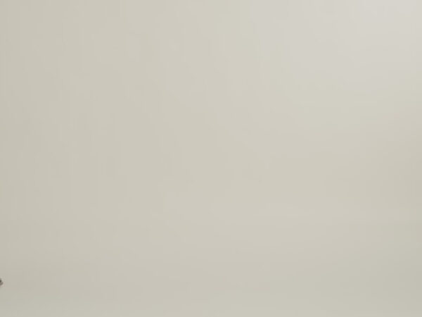 VersaPack®+ Large Check-In Spinner