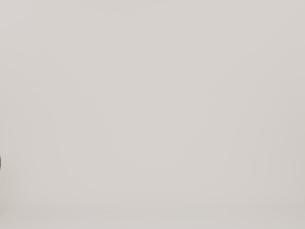 Maxlite® Air V2 Large Check-In Hardside Spinner